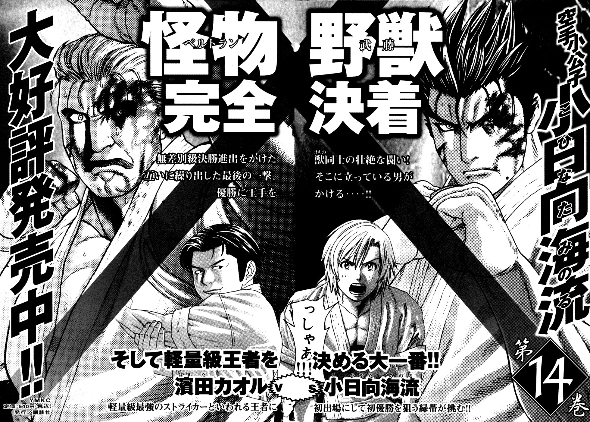 Karate Shoukoushi Kohinata Minoru Chapter 140 19